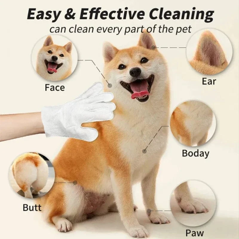1/2er-Pack Einweg-Reinigungshandschuhe für Haustiere, waschfrei, für Katzen und Hunde, SPA-Badezubehör, Massage, Vliesstoff, keine Spülung, Augenwischhandschuhe