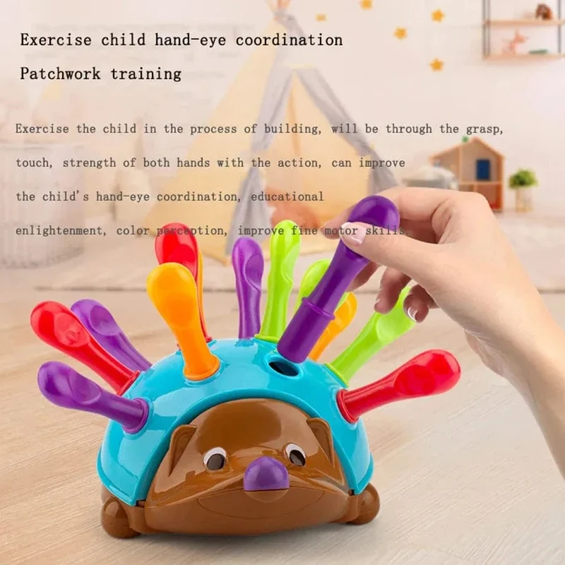 Igel Montessori Spielzeug Baby Konzentrationstraining Frühpädagogisches Spielzeug Feinmotorik- und Sinnesspielzeug Rechtschreibung Kleiner Igel