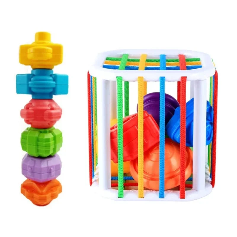 Bunte Formblöcke Sortierspiel Baby Montessori Lernen Pädagogisches Spielzeug für Kinder Bebe Geburt Inny Baby Et éducation Geschenk