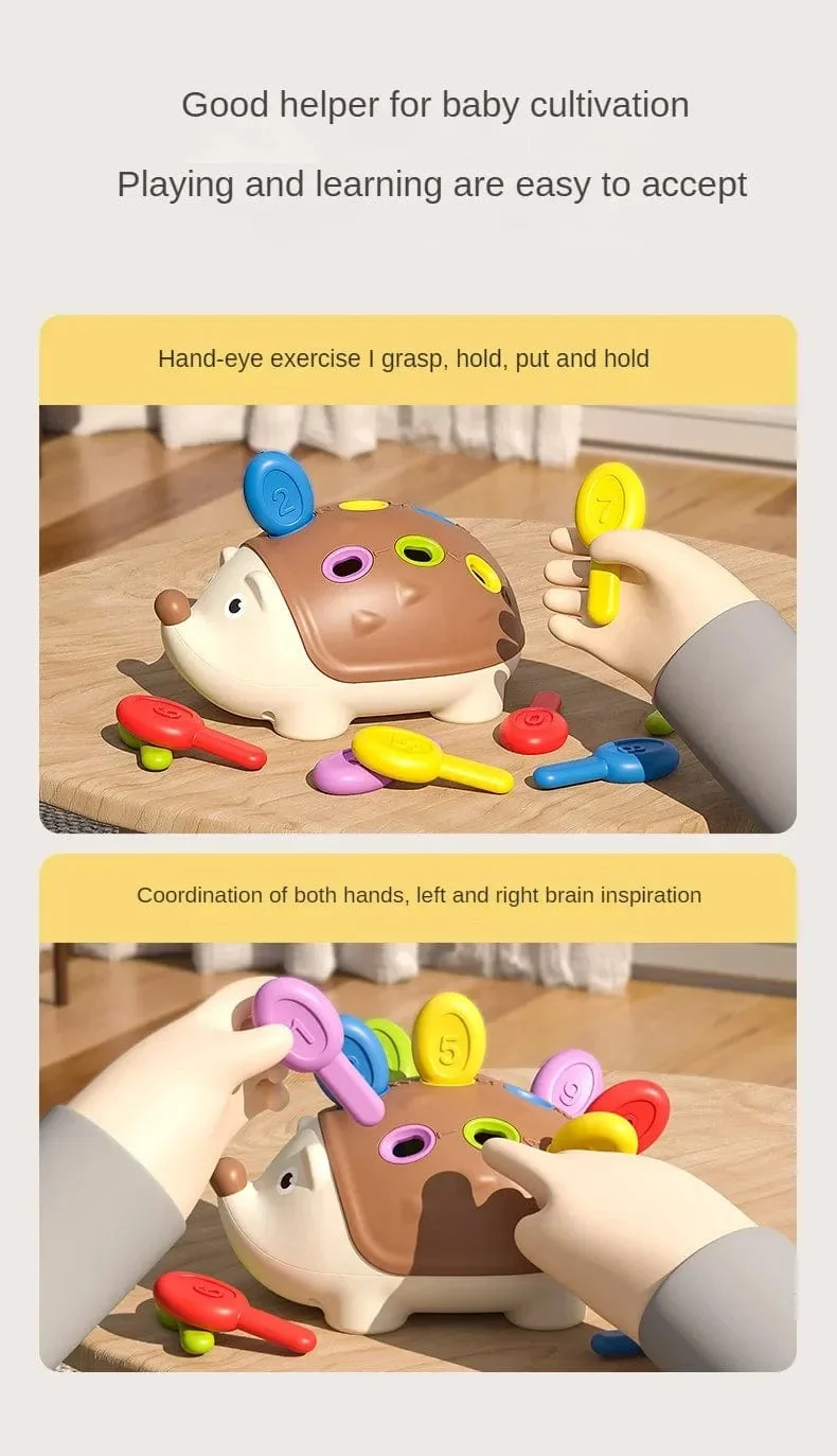 Montessori-Lernspielzeug, Feinmotorik-Spielzeug für Kleinkinder von 1–3 Jahren, Igel-Lernen, Zählen und Sortieren, Entwicklung sensorischer Geschenke