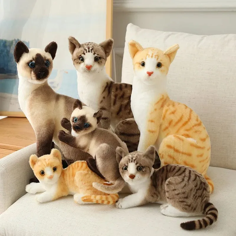 Ausgestopfte lebensechte Siamkatzen Plüschtier Simulation Amerikanische Kurzhaar Süße Katze Puppe Haustier Spielzeug Wohnkultur Geschenk für Mädchen Geburtstag