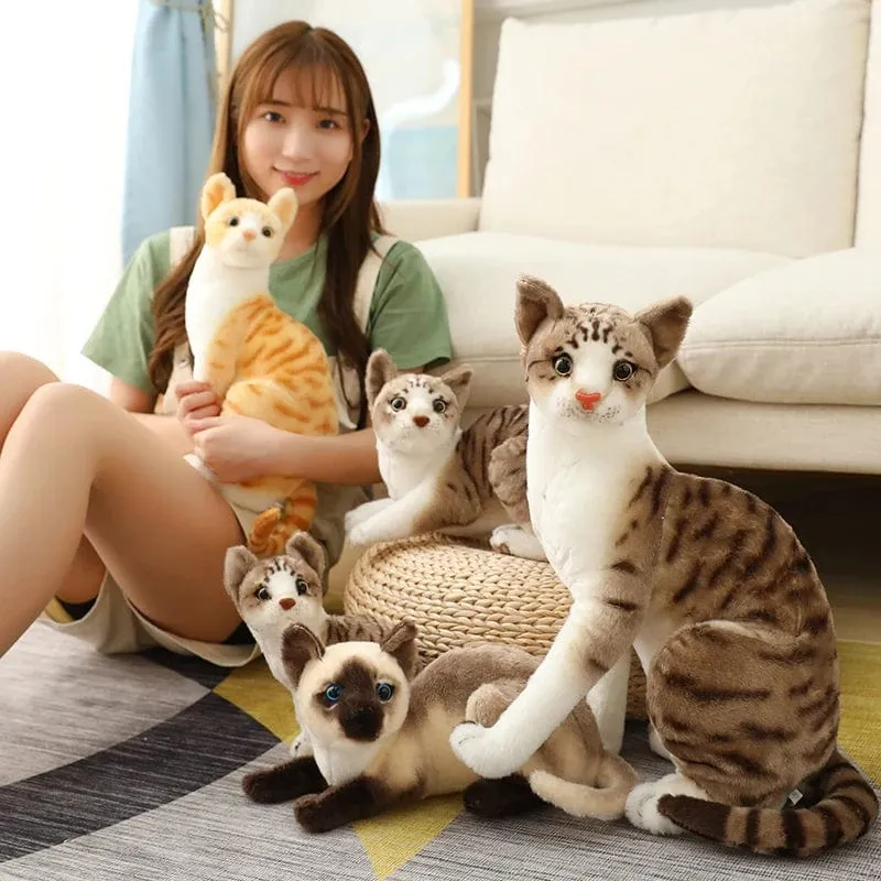 Ausgestopfte lebensechte Siamkatzen Plüschtier Simulation Amerikanische Kurzhaar Süße Katze Puppe Haustier Spielzeug Wohnkultur Geschenk für Mädchen Geburtstag