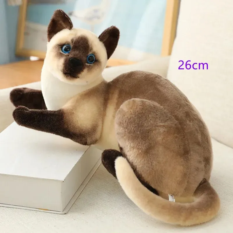 Ausgestopfte lebensechte Siamkatzen Plüschtier Simulation Amerikanische Kurzhaar Süße Katze Puppe Haustier Spielzeug Wohnkultur Geschenk für Mädchen Geburtstag
