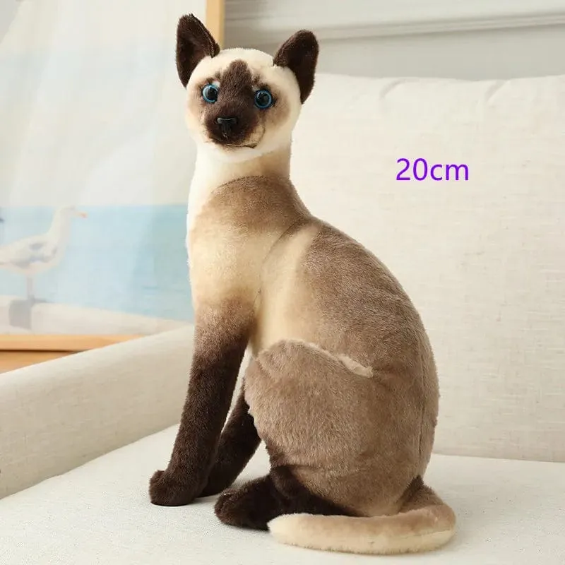 Ausgestopfte lebensechte Siamkatzen Plüschtier Simulation Amerikanische Kurzhaar Süße Katze Puppe Haustier Spielzeug Wohnkultur Geschenk für Mädchen Geburtstag