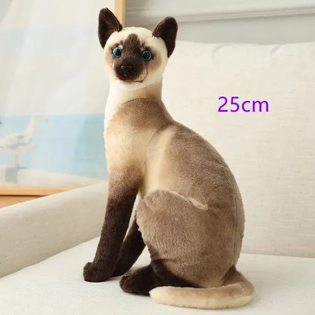 Ausgestopfte lebensechte Siamkatzen Plüschtier Simulation Amerikanische Kurzhaar Süße Katze Puppe Haustier Spielzeug Wohnkultur Geschenk für Mädchen Geburtstag