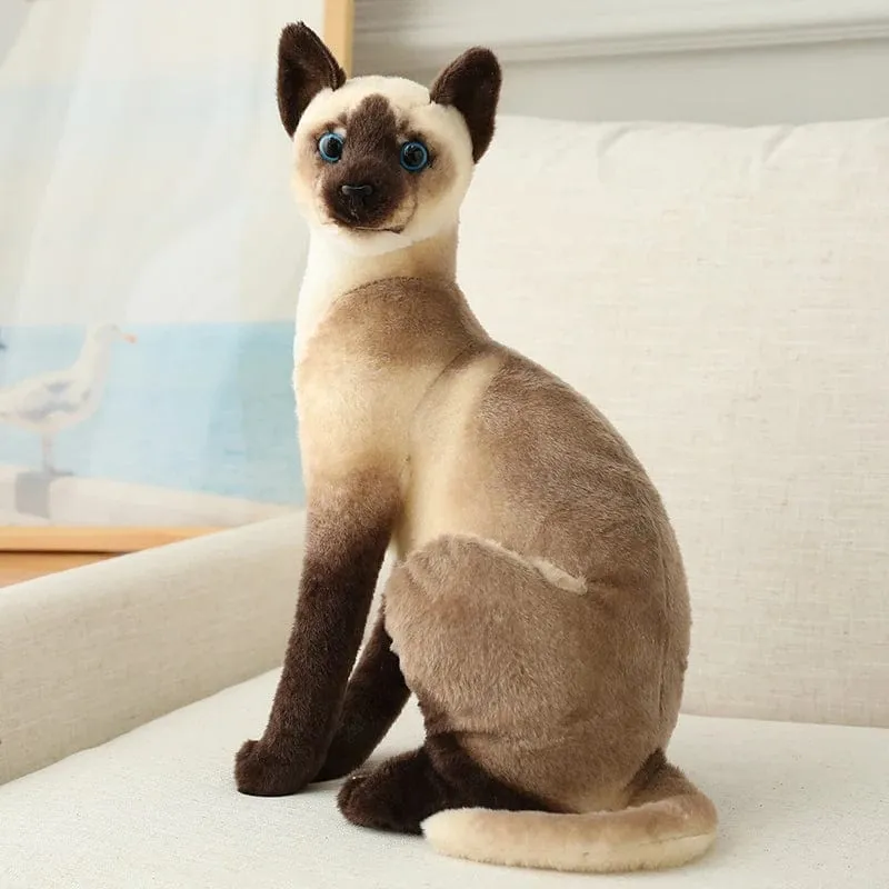 Ausgestopfte lebensechte Siamkatzen Plüschtier Simulation Amerikanische Kurzhaar Süße Katze Puppe Haustier Spielzeug Wohnkultur Geschenk für Mädchen Geburtstag