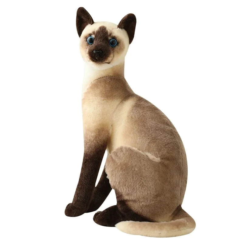 Ausgestopfte lebensechte Siamkatzen Plüschtier Simulation Amerikanische Kurzhaar Süße Katze Puppe Haustier Spielzeug Wohnkultur Geschenk für Mädchen Geburtstag