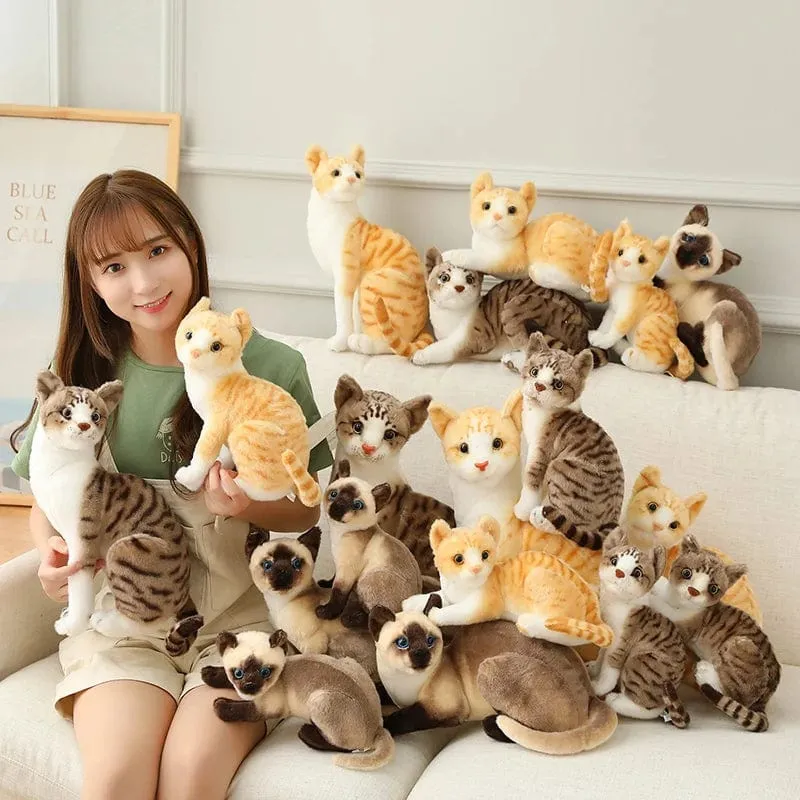 Ausgestopfte lebensechte Siamkatzen Plüschtier Simulation Amerikanische Kurzhaar Süße Katze Puppe Haustier Spielzeug Wohnkultur Geschenk für Mädchen Geburtstag