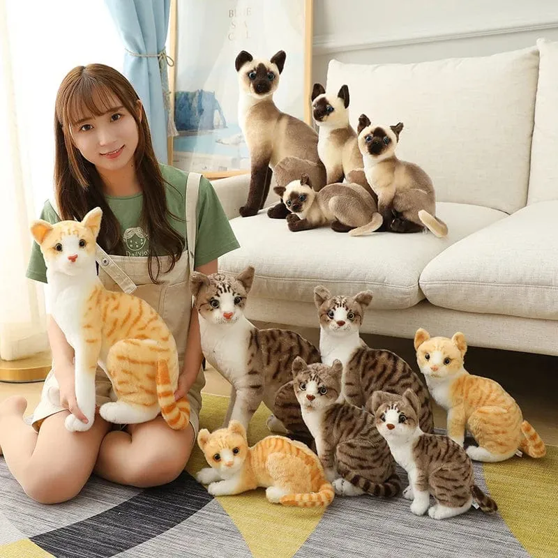 Ausgestopfte lebensechte Siamkatzen Plüschtier Simulation Amerikanische Kurzhaar Süße Katze Puppe Haustier Spielzeug Wohnkultur Geschenk für Mädchen Geburtstag