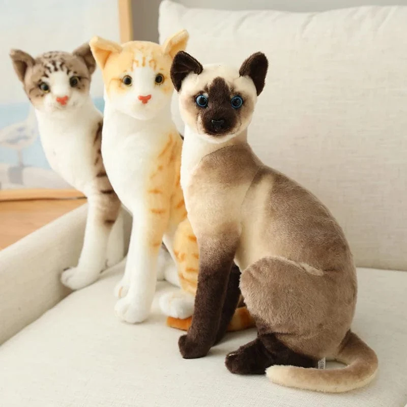 Ausgestopfte lebensechte Siamkatzen Plüschtier Simulation Amerikanische Kurzhaar Süße Katze Puppe Haustier Spielzeug Wohnkultur Geschenk für Mädchen Geburtstag