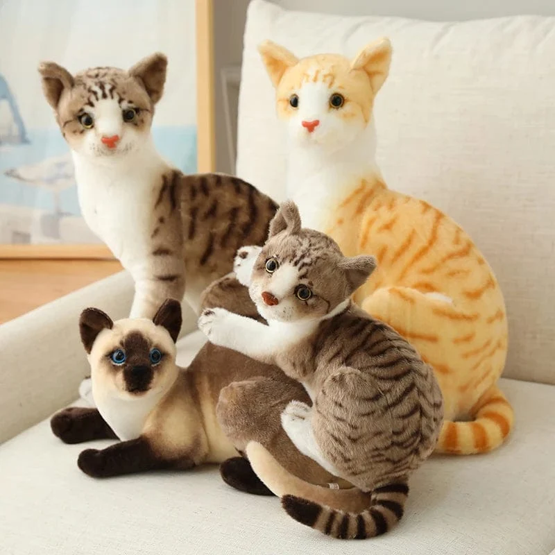 Ausgestopfte lebensechte Siamkatzen Plüschtier Simulation Amerikanische Kurzhaar Süße Katze Puppe Haustier Spielzeug Wohnkultur Geschenk für Mädchen Geburtstag