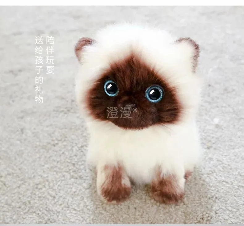 Ausgestopfte lebensechte Siamkatzen Plüschtier Simulation Amerikanische Kurzhaar Süße Katze Puppe Haustier Spielzeug Wohnkultur Geschenk für Mädchen Geburtstag