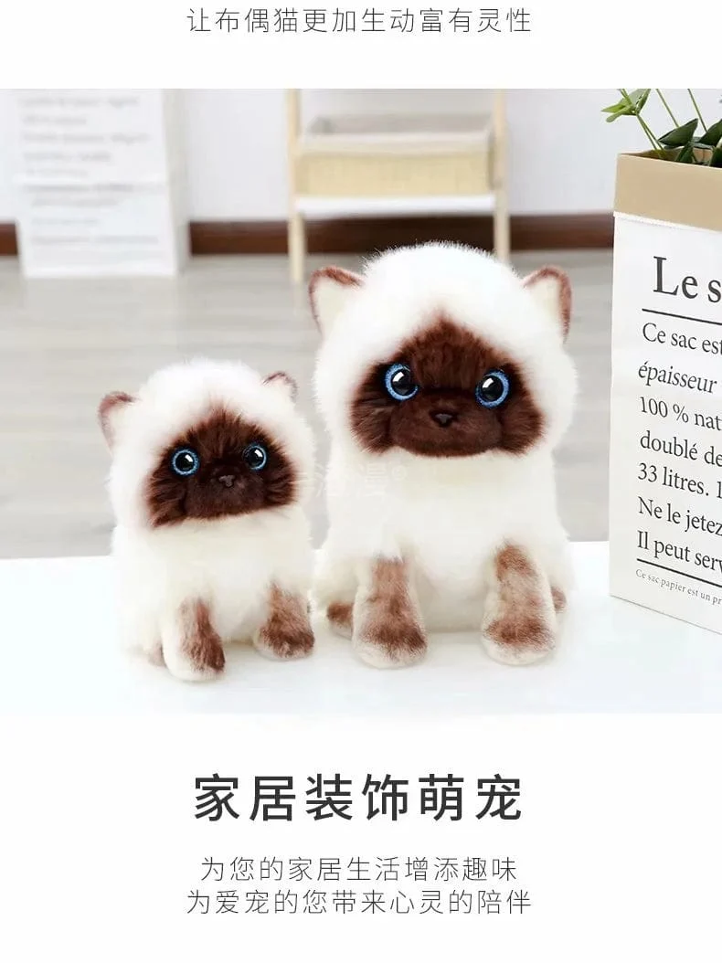 Ausgestopfte lebensechte Siamkatzen Plüschtier Simulation Amerikanische Kurzhaar Süße Katze Puppe Haustier Spielzeug Wohnkultur Geschenk für Mädchen Geburtstag