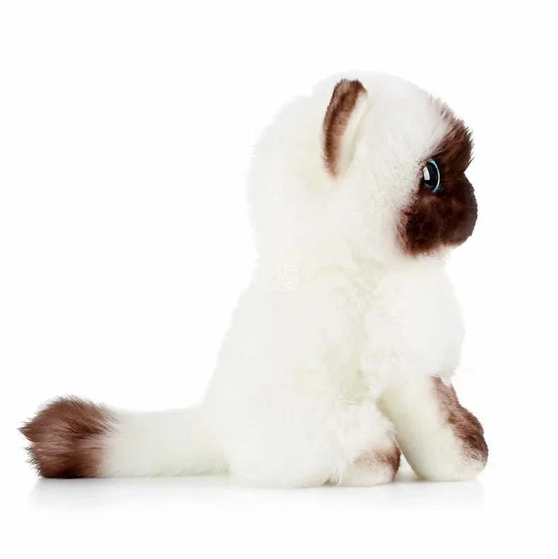 Ausgestopfte lebensechte Siamkatzen Plüschtier Simulation Amerikanische Kurzhaar Süße Katze Puppe Haustier Spielzeug Wohnkultur Geschenk für Mädchen Geburtstag