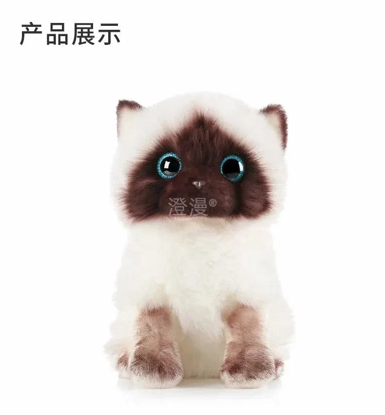Ausgestopfte lebensechte Siamkatzen Plüschtier Simulation Amerikanische Kurzhaar Süße Katze Puppe Haustier Spielzeug Wohnkultur Geschenk für Mädchen Geburtstag