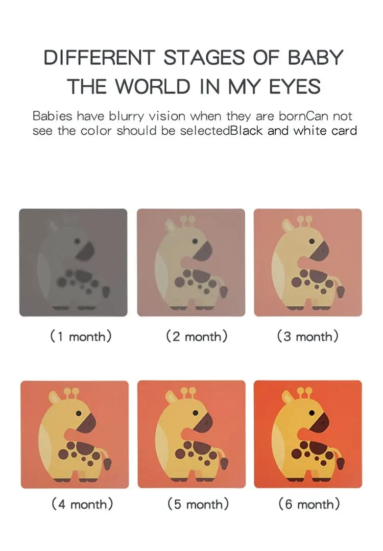 0-36M Baby Frühe Bildung Karte Schwarz Und Weiß Karten Farbe Training Visuelle Stimulation Montessori Form Tier Kognitiven Spielzeug
