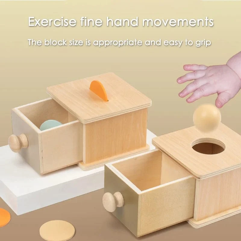 Montessori Frühen Bildung Kinder 0-3 Intelligenz Entwicklung Holz Runde Ball Pädagogisches Baby Ziel Box Lehrmittel Spielzeug