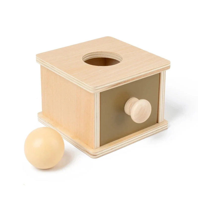 Montessori Frühen Bildung Kinder 0-3 Intelligenz Entwicklung Holz Runde Ball Pädagogisches Baby Ziel Box Lehrmittel Spielzeug