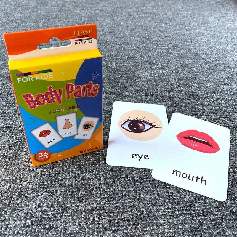Montessori-Flash-Kartenspiel, Tier- und Obstkörperlernen, doppelseitig, frühes Lernspielzeug für Kinder, Geschenk