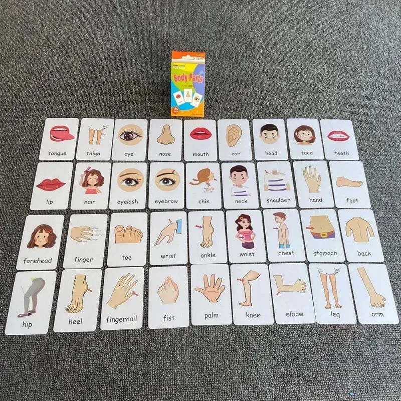 Montessori-Flash-Kartenspiel, Tier- und Obstkörperlernen, doppelseitig, frühes Lernspielzeug für Kinder, Geschenk