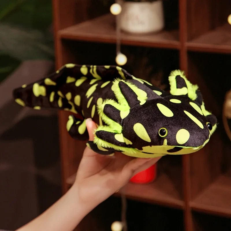 23–80 cm Kawaii Buntes Molch-Plüschtier, gefüllt mit süßem Axolotl, Salamander, flauschigem Plüschfisch, beschwichtigend, langes Kissen, Kindergeschenk