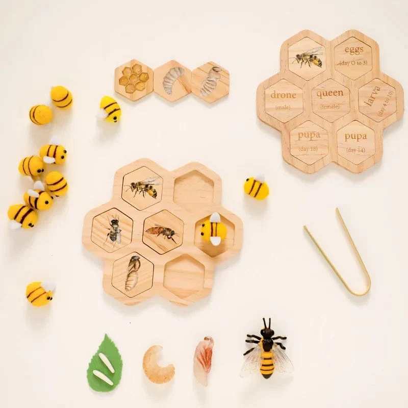 Baby Neue Tier Lebenszyklus Bord Montessori Lehren Kinder Spielzeug Bee Tier Wachstum Zyklus Modell Set Vorschule Kognitiven Spielzeug