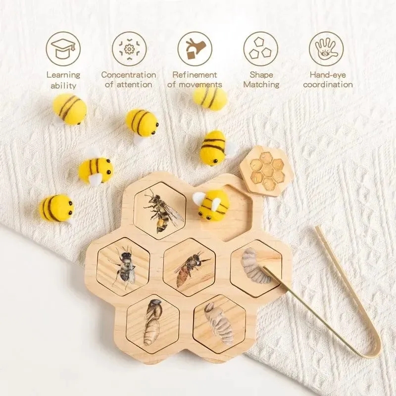 Baby Neue Tier Lebenszyklus Bord Montessori Lehren Kinder Spielzeug Bee Tier Wachstum Zyklus Modell Set Vorschule Kognitiven Spielzeug