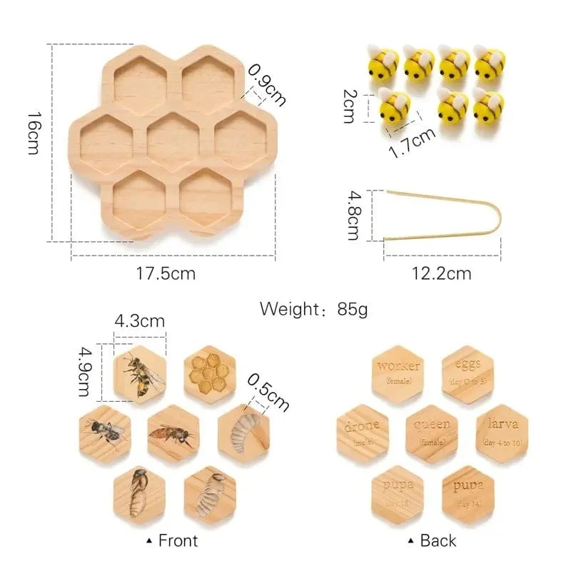 Baby Neue Tier Lebenszyklus Bord Montessori Lehren Kinder Spielzeug Bee Tier Wachstum Zyklus Modell Set Vorschule Kognitiven Spielzeug