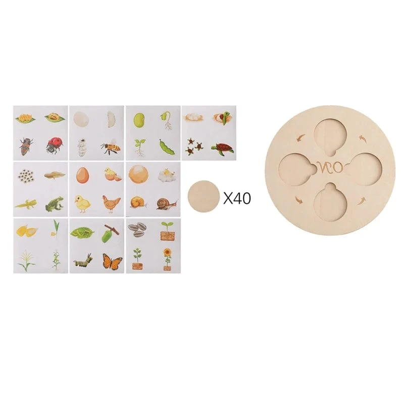 Baby Neue Tier Lebenszyklus Bord Montessori Lehren Kinder Spielzeug Bee Tier Wachstum Zyklus Modell Set Vorschule Kognitiven Spielzeug