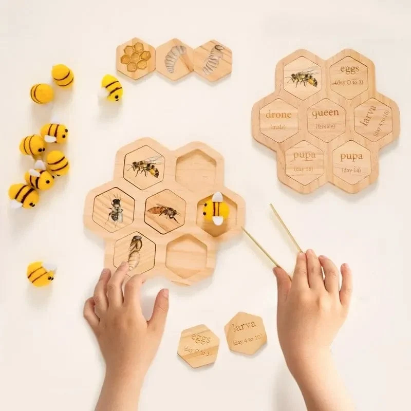 Baby Neue Tier Lebenszyklus Bord Montessori Lehren Kinder Spielzeug Bee Tier Wachstum Zyklus Modell Set Vorschule Kognitiven Spielzeug