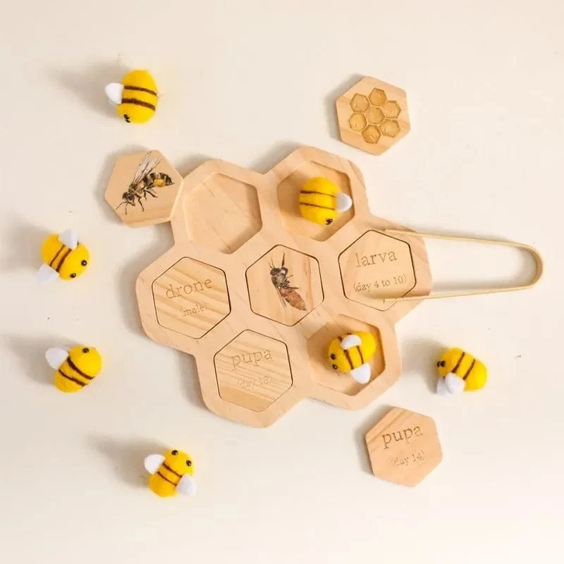 Baby Neue Tier Lebenszyklus Bord Montessori Lehren Kinder Spielzeug Bee Tier Wachstum Zyklus Modell Set Vorschule Kognitiven Spielzeug