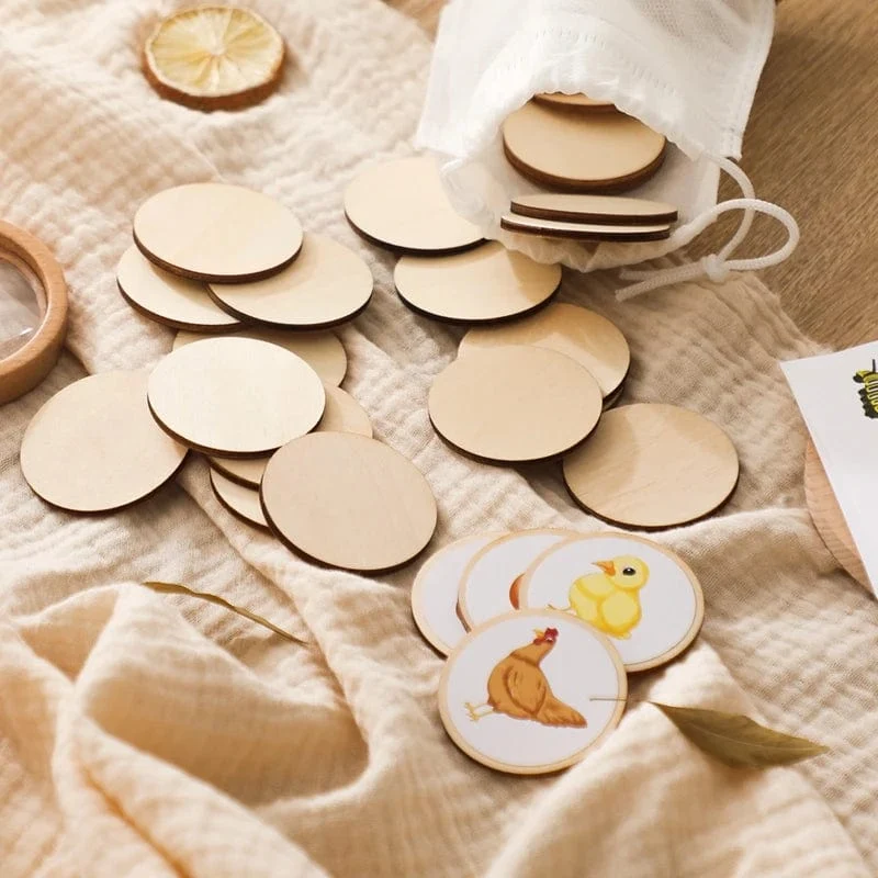 Baby Neue Tier Lebenszyklus Bord Montessori Lehren Kinder Spielzeug Bee Tier Wachstum Zyklus Modell Set Vorschule Kognitiven Spielzeug