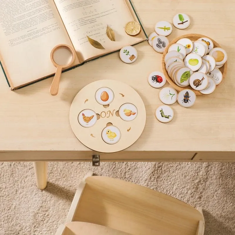 Baby Neue Tier Lebenszyklus Bord Montessori Lehren Kinder Spielzeug Bee Tier Wachstum Zyklus Modell Set Vorschule Kognitiven Spielzeug