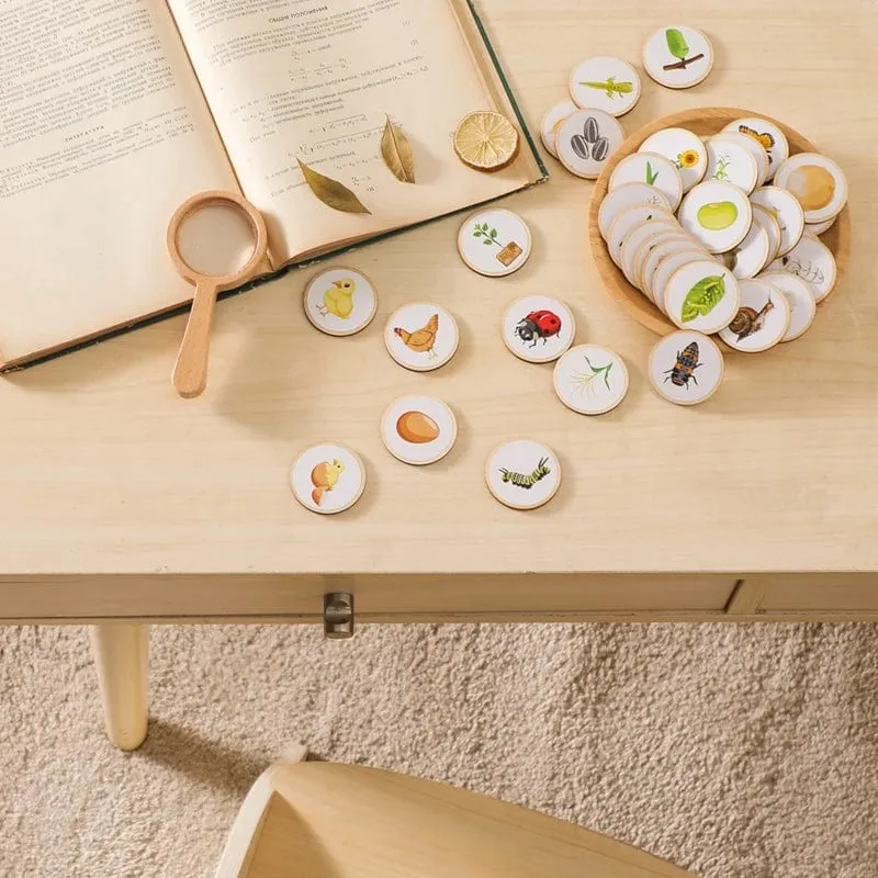 Baby Neue Tier Lebenszyklus Bord Montessori Lehren Kinder Spielzeug Bee Tier Wachstum Zyklus Modell Set Vorschule Kognitiven Spielzeug