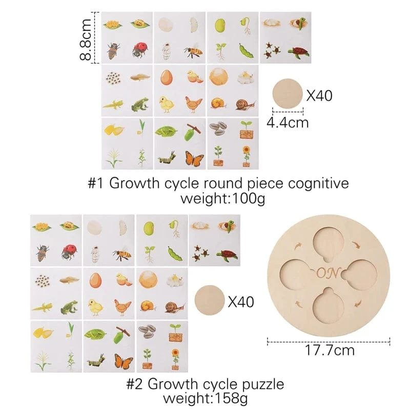 Baby Neue Tier Lebenszyklus Bord Montessori Lehren Kinder Spielzeug Bee Tier Wachstum Zyklus Modell Set Vorschule Kognitiven Spielzeug