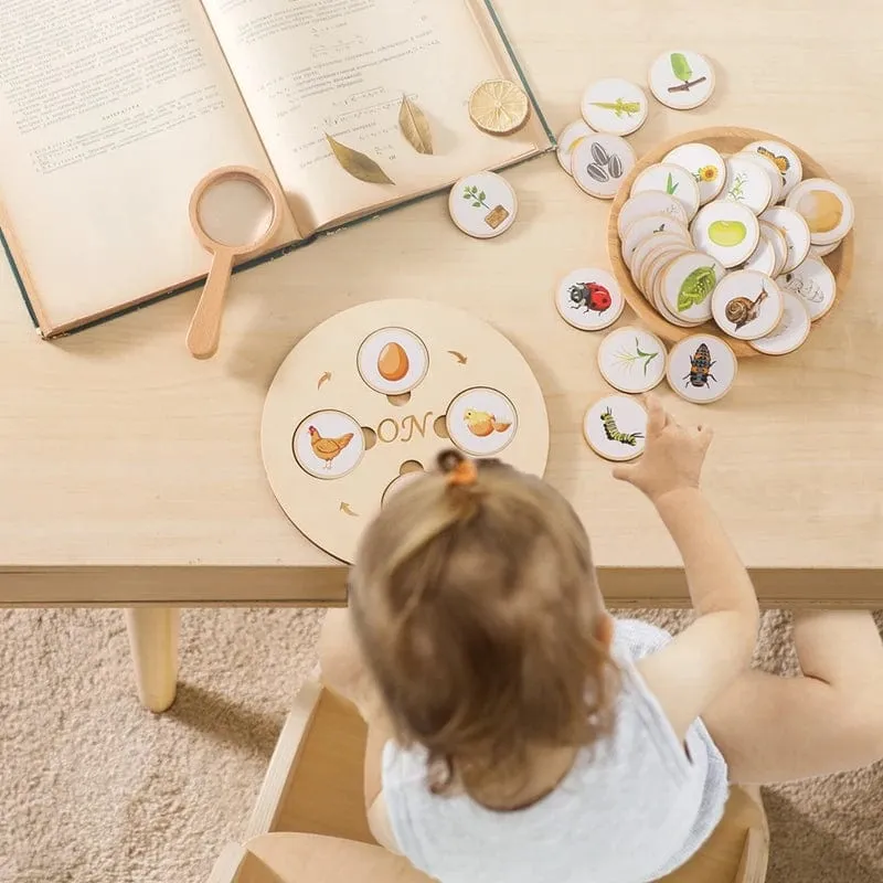 Baby Neue Tier Lebenszyklus Bord Montessori Lehren Kinder Spielzeug Bee Tier Wachstum Zyklus Modell Set Vorschule Kognitiven Spielzeug