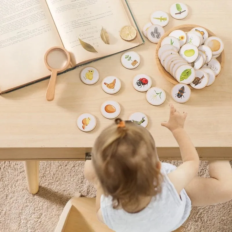 Baby Neue Tier Lebenszyklus Bord Montessori Lehren Kinder Spielzeug Bee Tier Wachstum Zyklus Modell Set Vorschule Kognitiven Spielzeug