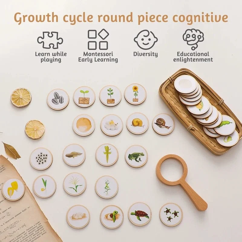 Baby Neue Tier Lebenszyklus Bord Montessori Lehren Kinder Spielzeug Bee Tier Wachstum Zyklus Modell Set Vorschule Kognitiven Spielzeug