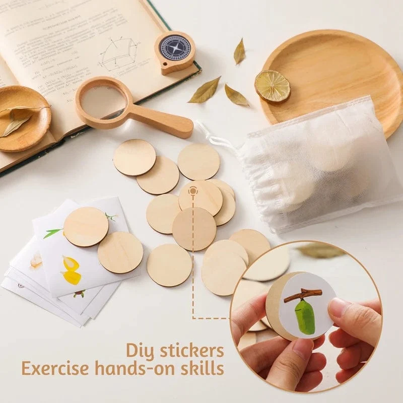 Baby Neue Tier Lebenszyklus Bord Montessori Lehren Kinder Spielzeug Bee Tier Wachstum Zyklus Modell Set Vorschule Kognitiven Spielzeug