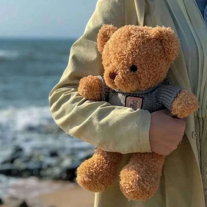 30cm40cm Plüsch Pullover Bär Spielzeug Puppen Puppen Nette Dress Up Bär Geburtstag Geschenk Beruhigenden schlaf