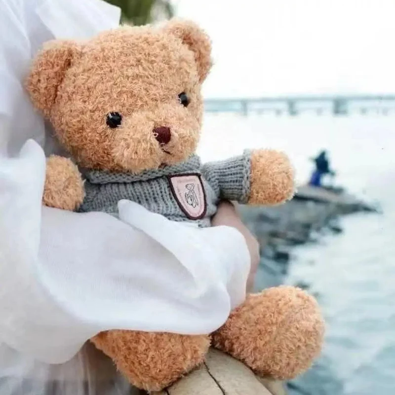 30cm40cm Plüsch Pullover Bär Spielzeug Puppen Puppen Nette Dress Up Bär Geburtstag Geschenk Beruhigenden schlaf