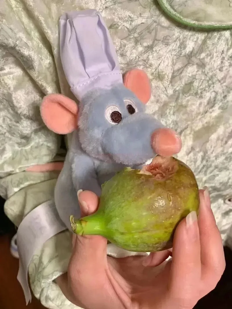 16cm Disney Store Ratatouille Chef Remy Magnetische Schulter Plüsch Spielzeug Geschenke Kawaii Plüsch Zeug Spielzeug Für Freunde Geburtstag Geschenk