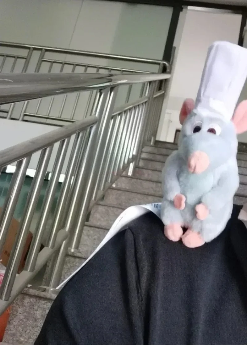 16cm Disney Store Ratatouille Chef Remy Magnetische Schulter Plüsch Spielzeug Geschenke Kawaii Plüsch Zeug Spielzeug Für Freunde Geburtstag Geschenk