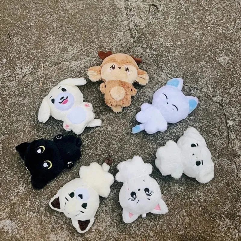 Kpop Plüsch JUNGWON HEESEUNG JAY JAKE SUNGHOON Stofftiere Schlüsselanhänger Kawaii Cartoon Anhänger Zubehör Tasche Fans Geschenk