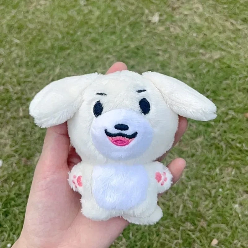 Kpop Plüsch JUNGWON HEESEUNG JAY JAKE SUNGHOON Stofftiere Schlüsselanhänger Kawaii Cartoon Anhänger Zubehör Tasche Fans Geschenk