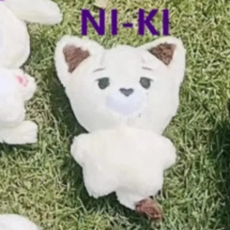 Kpop Plüsch JUNGWON HEESEUNG JAY JAKE SUNGHOON Stofftiere Schlüsselanhänger Kawaii Cartoon Anhänger Zubehör Tasche Fans Geschenk