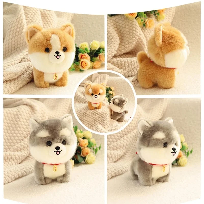 ZU Kawaii Teddy Pets Lebensechte flauschige Welpen-Weichpuppe Süße kleine Chow Pomeranian Corgi Yorkie Plüschtiere mit Charm-Geschenk für Mädchen
