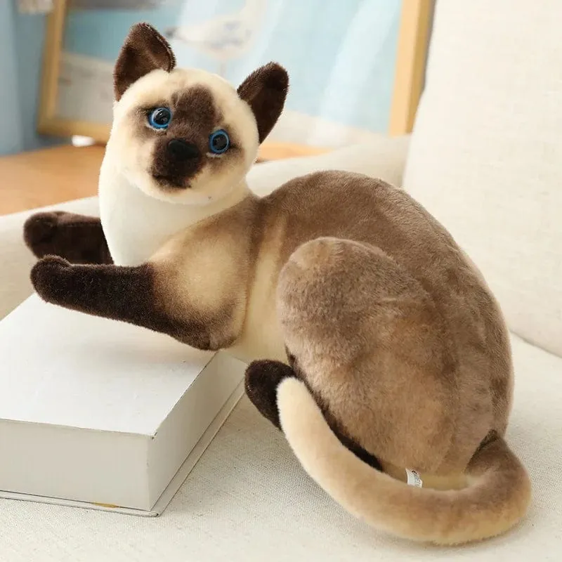 26 cm echte süße Plüschkatzenpuppe, weiches Stofftier, Plüschkätzchenspielzeug für Kinder, Cartoon, Kinder, Mädchen, Baby, Geburtstagsgeschenk