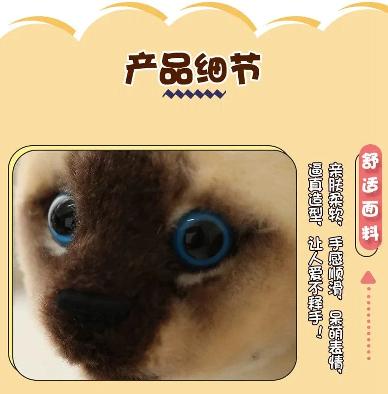 26 cm echte süße Plüschkatzenpuppe, weiches Stofftier, Plüschkätzchenspielzeug für Kinder, Cartoon, Kinder, Mädchen, Baby, Geburtstagsgeschenk