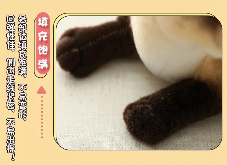 26 cm echte süße Plüschkatzenpuppe, weiches Stofftier, Plüschkätzchenspielzeug für Kinder, Cartoon, Kinder, Mädchen, Baby, Geburtstagsgeschenk